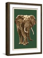 African Elephant - Letterpress-Lantern Press-Framed Art Print