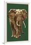 African Elephant - Letterpress-Lantern Press-Framed Art Print