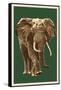 African Elephant - Letterpress-Lantern Press-Framed Stretched Canvas