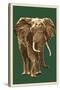 African Elephant - Letterpress-Lantern Press-Stretched Canvas