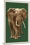 African Elephant - Letterpress-Lantern Press-Mounted Art Print