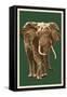 African Elephant - Letterpress-Lantern Press-Framed Stretched Canvas