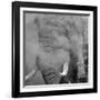 African Elephant (Loxodonta africana) adult, close-up of head, throwing sand with trunk in desert-Shem Compion-Framed Photographic Print