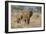 African Elephant (Loxodonta africana) adult female, walking with calf, Kenya-Martin Withers-Framed Photographic Print