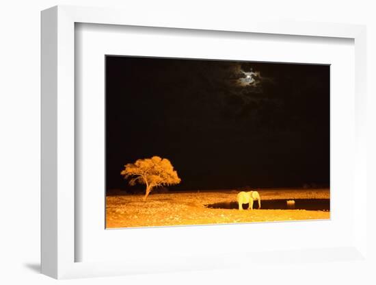 African Elephant (Loxodonta Africana) and Black Rhinoceros (Diceros Bicornis) Bathing-Eric Baccega-Framed Photographic Print