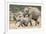 African Elephant (Loxodonta Africana) and Calf, Running to Water, Addo Elephant National Park-Ann and Steve Toon-Framed Photographic Print