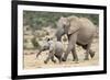 African Elephant (Loxodonta Africana) and Calf, Running to Water, Addo Elephant National Park-Ann and Steve Toon-Framed Photographic Print