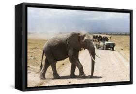 African Elephant (Loxodonta Africana) and Tourists-Ann and Steve Toon-Framed Stretched Canvas