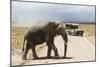 African Elephant (Loxodonta Africana) and Tourists-Ann and Steve Toon-Mounted Photographic Print