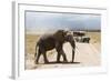 African Elephant (Loxodonta Africana) and Tourists-Ann and Steve Toon-Framed Photographic Print