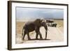 African Elephant (Loxodonta Africana) and Tourists-Ann and Steve Toon-Framed Photographic Print