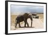 African Elephant (Loxodonta Africana) and Tourists-Ann and Steve Toon-Framed Photographic Print