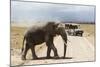 African Elephant (Loxodonta Africana) and Tourists-Ann and Steve Toon-Mounted Photographic Print