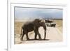 African Elephant (Loxodonta Africana) and Tourists-Ann and Steve Toon-Framed Photographic Print