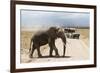 African Elephant (Loxodonta Africana) and Tourists-Ann and Steve Toon-Framed Photographic Print