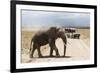 African Elephant (Loxodonta Africana) and Tourists-Ann and Steve Toon-Framed Photographic Print