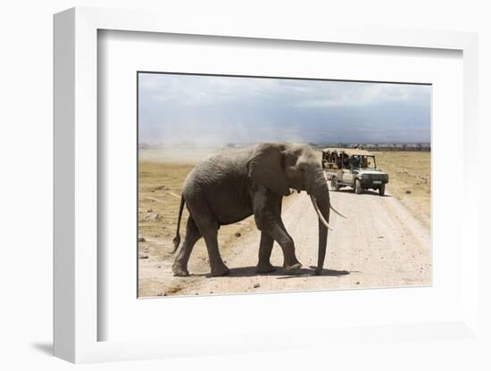 African Elephant (Loxodonta Africana) and Tourists-Ann and Steve Toon-Framed Photographic Print