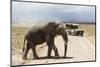 African Elephant (Loxodonta Africana) and Tourists-Ann and Steve Toon-Mounted Photographic Print