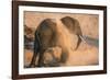 African elephant (Loxodonta africana) at dust bath, Chobe National Park, Botswana, Africa-Ann and Steve Toon-Framed Photographic Print