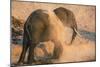 African elephant (Loxodonta africana) at dust bath, Chobe National Park, Botswana, Africa-Ann and Steve Toon-Mounted Photographic Print