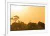 African elephant (Loxodonta Africana) at sunset, Kruger National Park, South Africa, Africa-Christian Kober-Framed Photographic Print