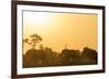 African elephant (Loxodonta Africana) at sunset, Kruger National Park, South Africa, Africa-Christian Kober-Framed Photographic Print