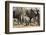 African Elephant (Loxodonta Africana) Baby with Herd at Hapoor Waterhole-Ann and Steve Toon-Framed Photographic Print