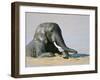 African Elephant (Loxodonta Africana) Bathing, Addo National Park, South Africa, Africa-Steve & Ann Toon-Framed Photographic Print