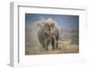 African Elephant (Loxodonta Africana) Bull Dust-Bathing, Chyulu Hills, Kenya-Wim van den Heever-Framed Photographic Print