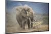 African Elephant (Loxodonta Africana) Bull Dust-Bathing, Chyulu Hills, Kenya-Wim van den Heever-Mounted Photographic Print