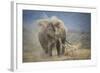 African Elephant (Loxodonta Africana) Bull Dust-Bathing, Chyulu Hills, Kenya-Wim van den Heever-Framed Photographic Print