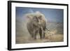 African Elephant (Loxodonta Africana) Bull Dust-Bathing, Chyulu Hills, Kenya-Wim van den Heever-Framed Photographic Print