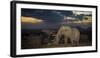 African Elephant (Loxodonta Africana) Bull 'One Ton' with Massive Tusks at Dusk-Wim van den Heever-Framed Photographic Print