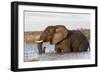 African elephant (Loxodonta africana) crossing river, Chobe River, Botswana, Africa-Ann and Steve Toon-Framed Photographic Print