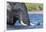 African elephant (Loxodonta africana) crossing river, Chobe River, Botswana, Africa-Ann and Steve Toon-Framed Photographic Print