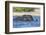 African elephant (Loxodonta africana) crossing river, Chobe River, Botswana, Africa-Ann and Steve Toon-Framed Photographic Print