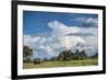 African Elephant (Loxodonta Africana) Drinking from Water, Okavango Delta, Botswana-Wim van den Heever-Framed Photographic Print