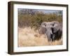 African Elephant (Loxodonta Africana), Etosha National Park, Namibia, Africa-Sergio Pitamitz-Framed Photographic Print