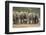 African Elephant (Loxodonta Africana) Family, Addo Elephant National Park, South Africa, Africa-James Hager-Framed Premium Photographic Print