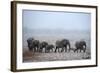 African Elephant (Loxodonta Africana) Herd with Calves-Eric Baccega-Framed Photographic Print