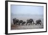 African Elephant (Loxodonta Africana) Herd with Calves-Eric Baccega-Framed Photographic Print