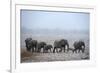 African Elephant (Loxodonta Africana) Herd with Calves-Eric Baccega-Framed Photographic Print