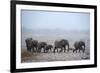 African Elephant (Loxodonta Africana) Herd with Calves-Eric Baccega-Framed Photographic Print