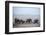 African Elephant (Loxodonta Africana) Herd with Calves-Eric Baccega-Framed Photographic Print