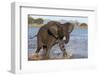 African elephant (Loxodonta africana) in water, Zimanga game reserve, KwaZulu-Natal-Ann and Steve Toon-Framed Photographic Print