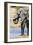 African Elephant (Loxodonta Africana), Khwai Concession, Okavango Delta, Botswana, Africa-Sergio-Framed Photographic Print