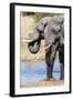 African Elephant (Loxodonta Africana), Khwai Concession, Okavango Delta, Botswana, Africa-Sergio-Framed Photographic Print