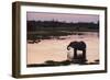 African Elephant (Loxodonta Africana), Khwai Concession, Okavango Delta, Botswana, Africa-Sergio Pitamitz-Framed Photographic Print