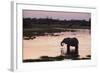 African Elephant (Loxodonta Africana), Khwai Concession, Okavango Delta, Botswana, Africa-Sergio Pitamitz-Framed Photographic Print