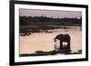 African Elephant (Loxodonta Africana), Khwai Concession, Okavango Delta, Botswana, Africa-Sergio Pitamitz-Framed Photographic Print